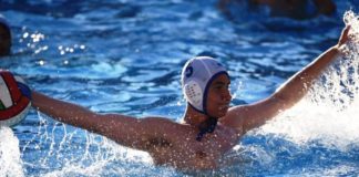 La Gryphus Perugia sbatte l'Etruria Nuoto: 24-4