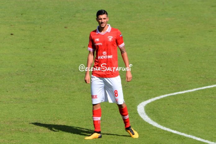 Grifo a carte scoperte: 6 novità in formazione. Breda: 