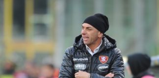 Il Grifo "inguaia" Bollini: per lui l'esonero? La dirigenza campana pensa all'ipotesi di rimuovere il tecnico dall'incarico