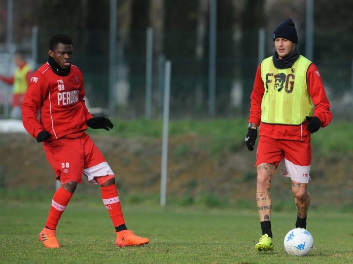 Grifo: a Vercelli sarà 