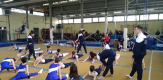 Ginnastica artistica maschile, campionato regionale a squadre di Serie D