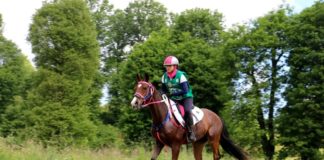 Equitazione: Laliscia trionfa anche in Polonia. La campionessa perugina ha primeggiato nella Cei di Kliczkow