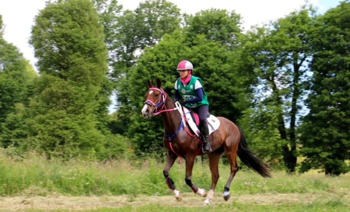 Equitazione: Laliscia trionfa anche in Polonia. La campionessa perugina ha primeggiato nella Cei di Kliczkow