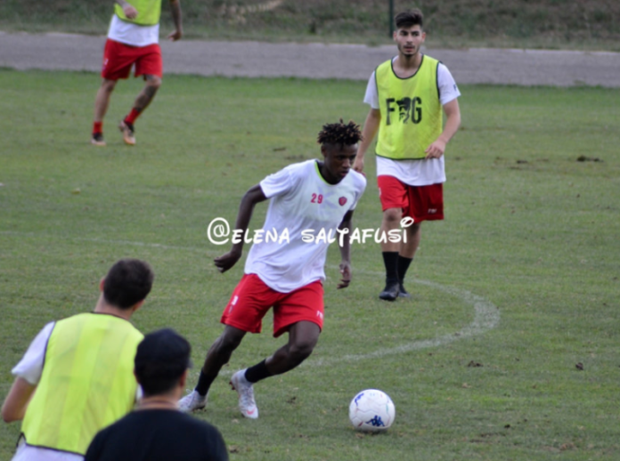 Grifo a Bologna con qualche assenza. Nesta affronterà il test con i rossoblu senza i nazionali Gyomber e Vido ed i convalescenti Bianco ed Han. Kingsley recuperato