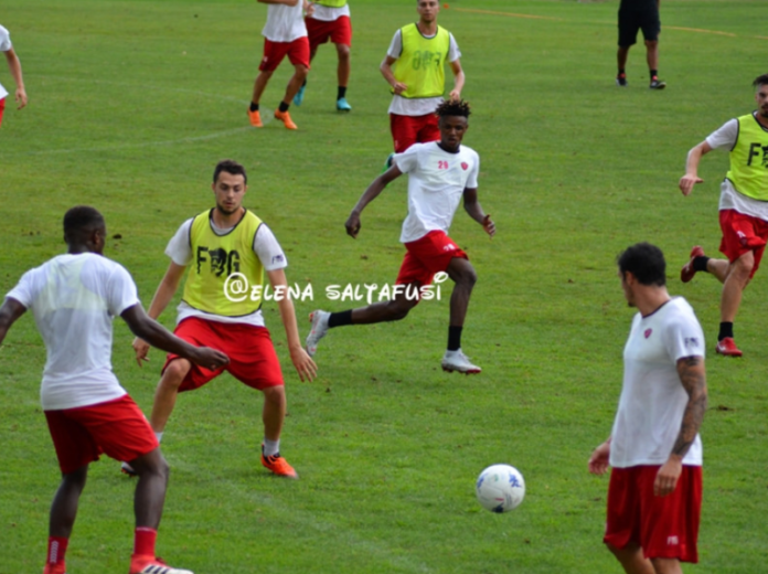 Grifo: a Verona scelte quasi obbligate. Per il match del Bentegodi assenti gli squalificati Gyomber e Bianco e gli infortunati Mustacchio ed Han. El Yamiq e Dragomir verso la titolarità