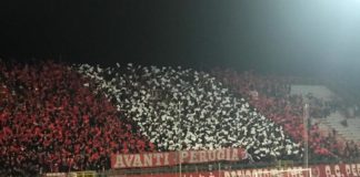 Semplicemente fantastici. Squadra e tifoseria di pari passo nel match interno col Pescara: questo significa essere Grifoni