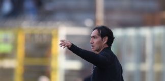 Anche Dan Peterson "promuove" Nesta. Il tecnico del Grifo "sa vendere il suo prodotto". E contro la Salernitana scelte e cambi azzeccatissimi