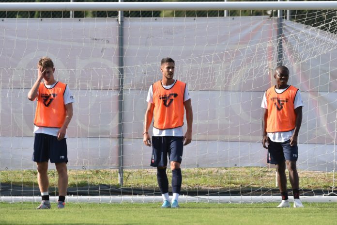 Grifo per tutti i gusti: tante soluzioni per Oddo. Dalle due punte all'albero di natale fino ad altre alternative tattiche: mai come quest'anno la rosa del Perugia è ampia e variegata