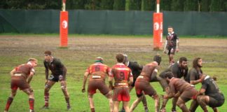 Rugby Perugia ancora k.o.: Pesaro corsara. Gli uomini di De Angelis cadono tra le mura di casa per 7-3