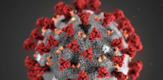 Cosa potrebbe succedere se i campionati non dovessero riprendere? Annullamento dei campionati o ufficializzazione finale delle classifiche attuali?