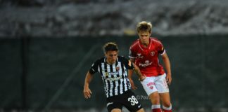 Lavagna tattica: il Grifo ‘riparte’ da dietro. Ad Ascoli buona prova del pacchetto arretrato, non solo in fase difensiva ma anche in quella di costruzione. Utili i movimenti di Nicolussi Caviglia