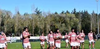 Laziali out per troppi casi Covid. Coach Speziali: “Peccato non scendere in campo, auguriamo una pronta guarigione ai nostri avversari”